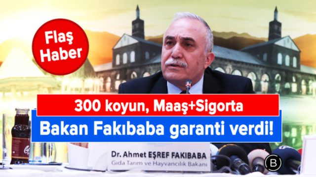 Картинки по запросу Fakıbaba 300