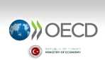 ОЭСР открывает представительство в Стамбуле