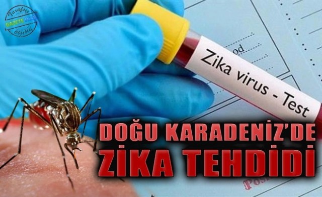Картинки по запросу Zika virüsü